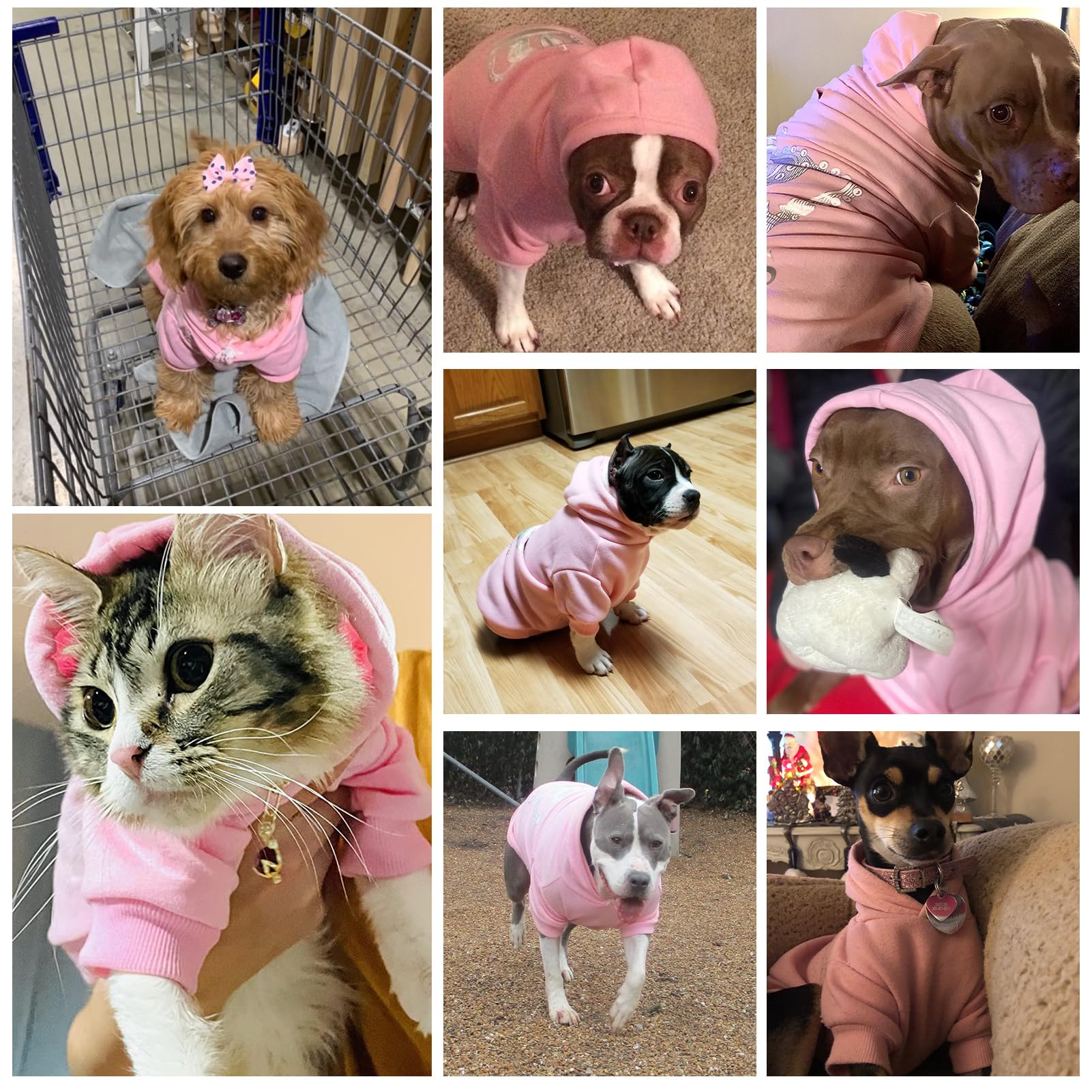EXPAWLORER Princesa Sudadera para Perros y Gatos: cuidado lavable a máquina para uso diario.