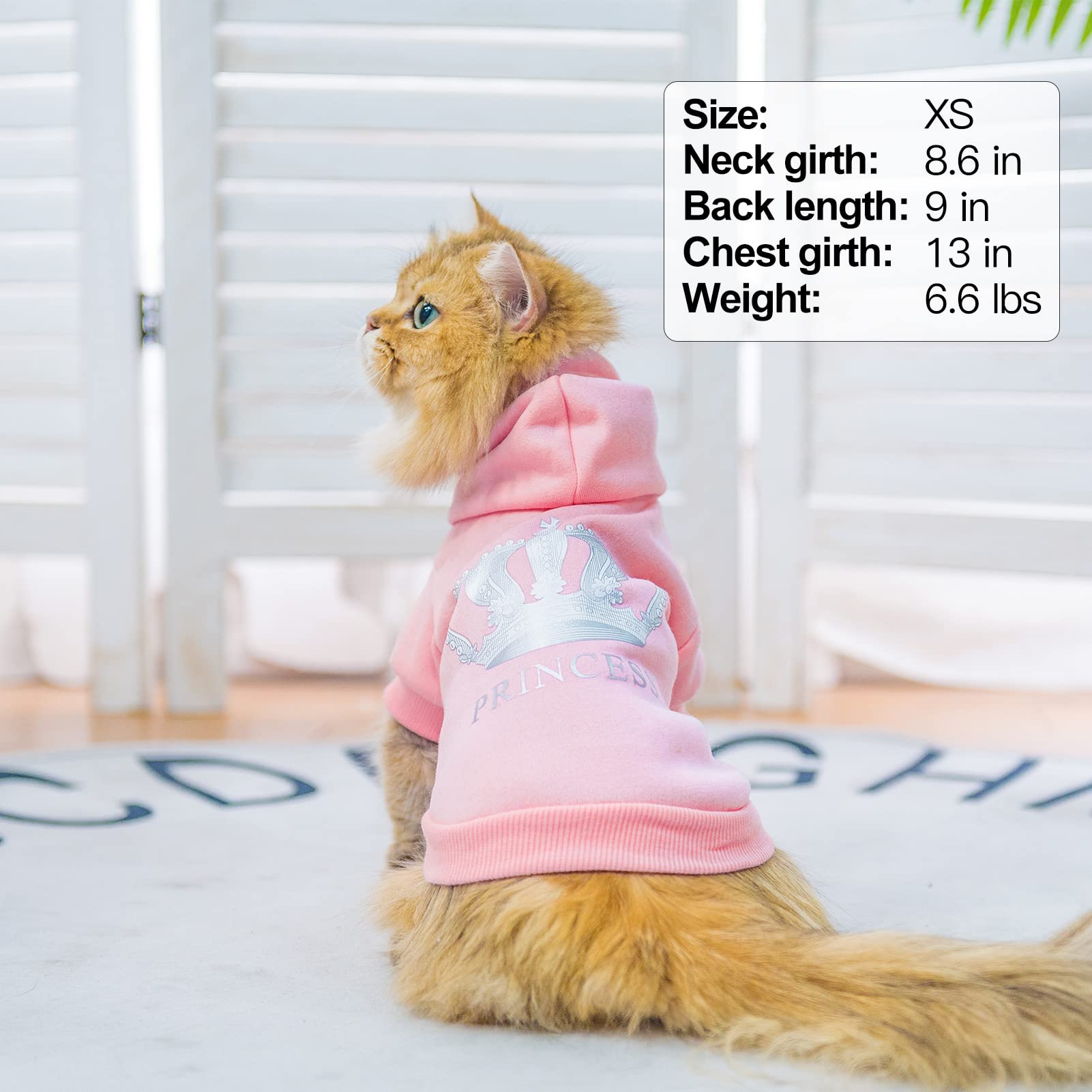 EXPAWLORER Princesa sudadera para perro, espalda con corona para un look distintivo.