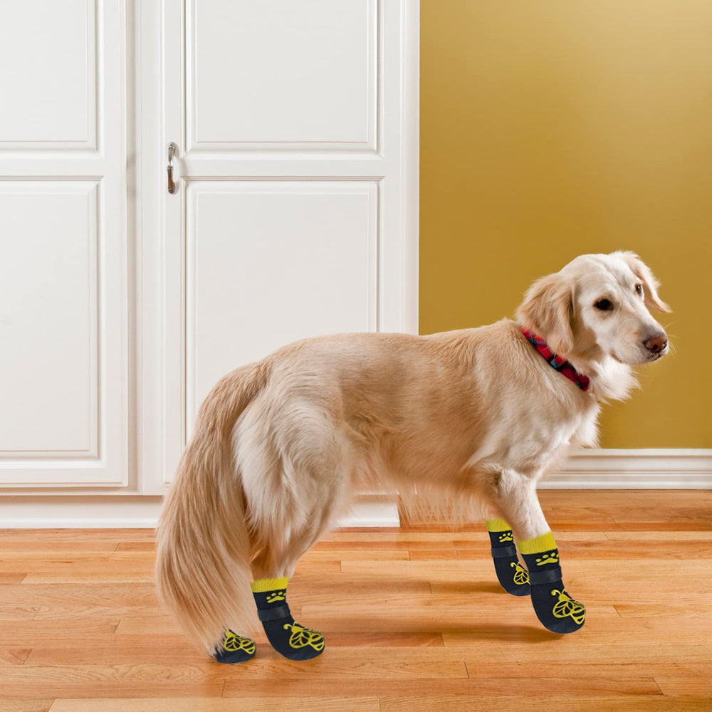 Protección de patas para uso interior en suelos de madera con EXPAWLORER