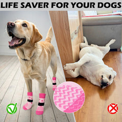 EXPAWLORER protección de patas para todas las estaciones y climas.