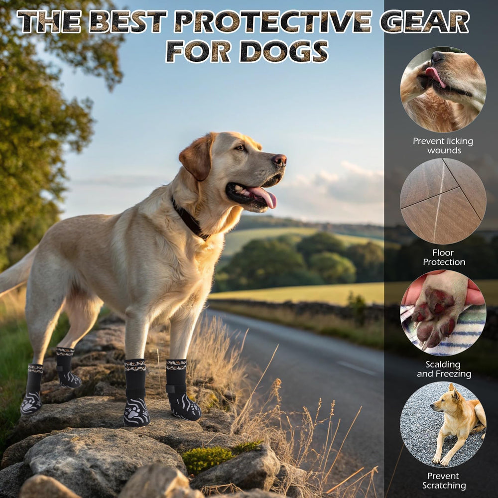 EXPAWLORER protectores de patas para perros mayores, mayor tracción.
