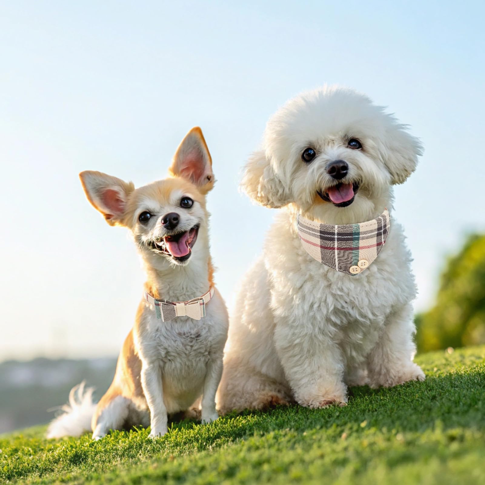 EXPAWLORER regalo ideal de temporada conjunto collar y bandana para mascotas