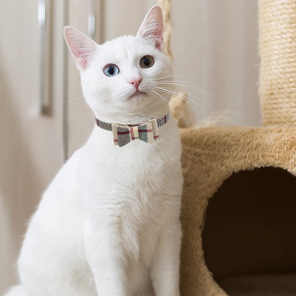 EXPAWLORER set collar y correa para paseos seguros y con estilo.