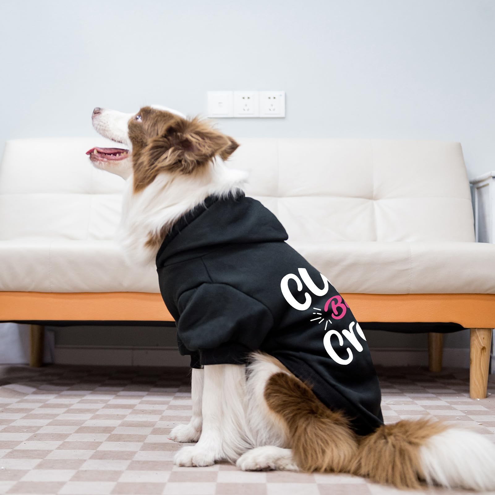 EXPAWLORER sudadera con capucha para perros, adecuada para tallas M.