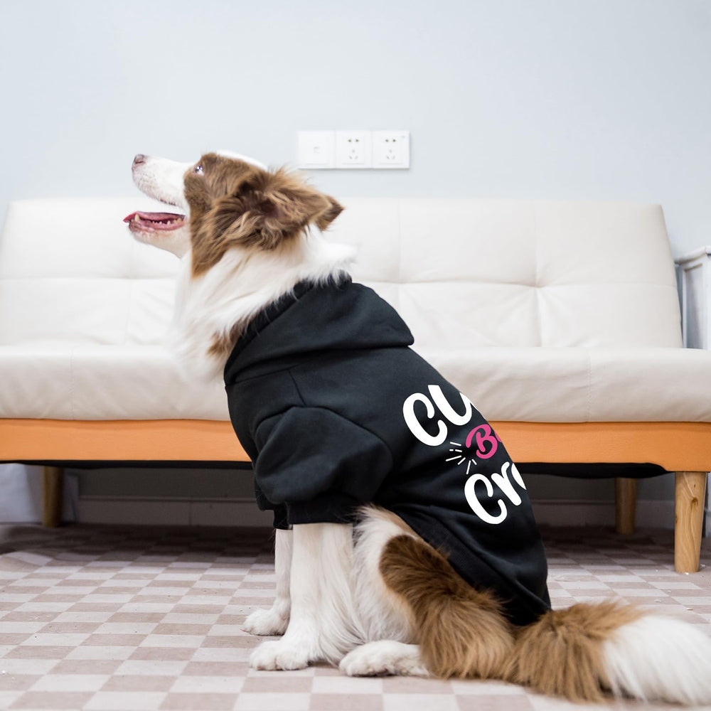EXPAWLORER sudadera con capucha para perros, adecuada para tallas M.