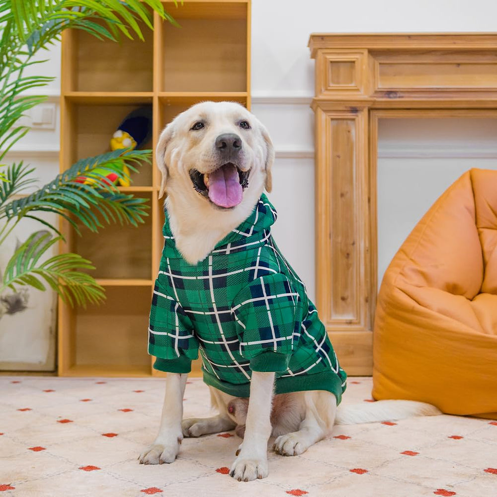 EXPAWLORER sudadera verde talla XL para perros grandes