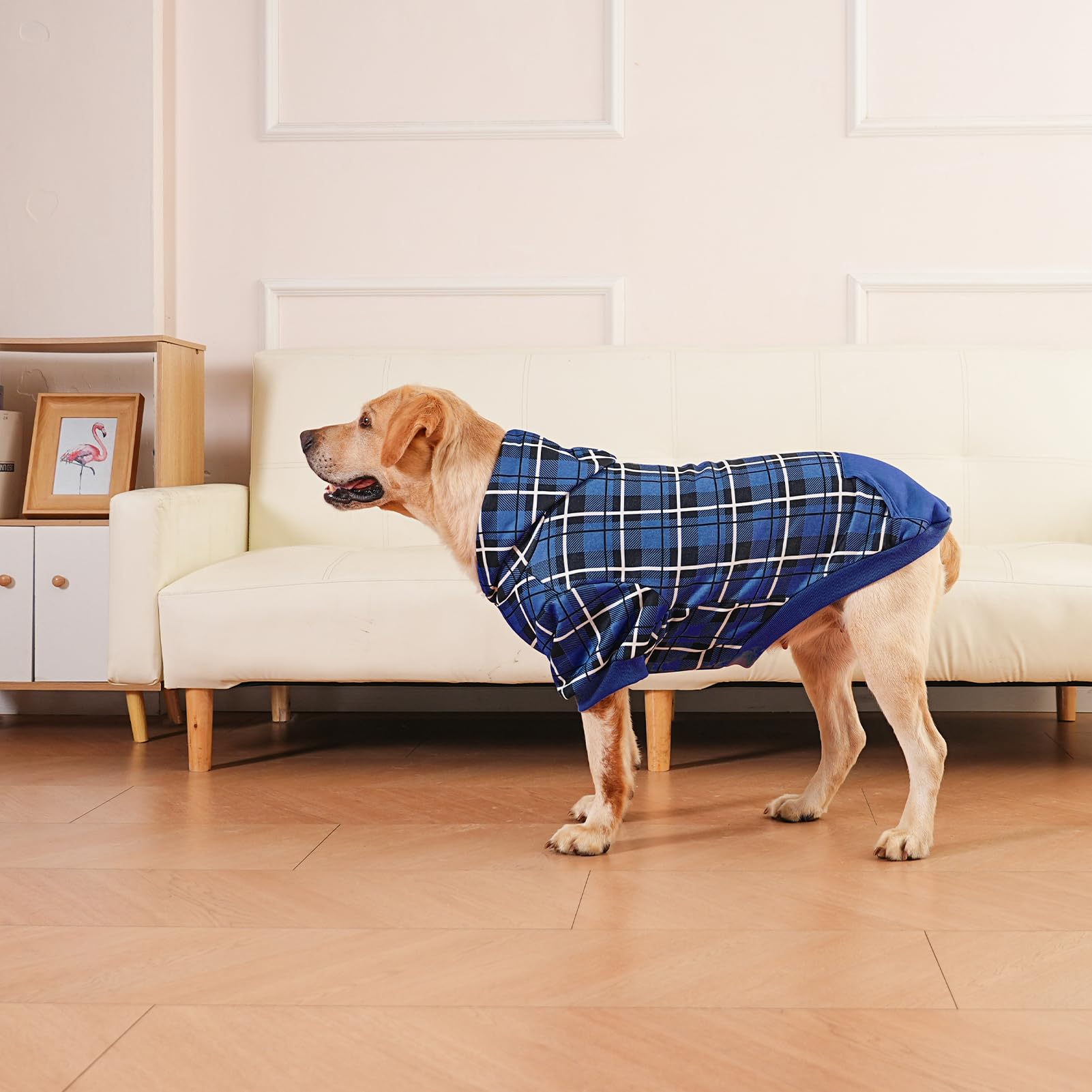 EXPAWLORER suéter capucha tartán para perro, cómodo en días fríos.