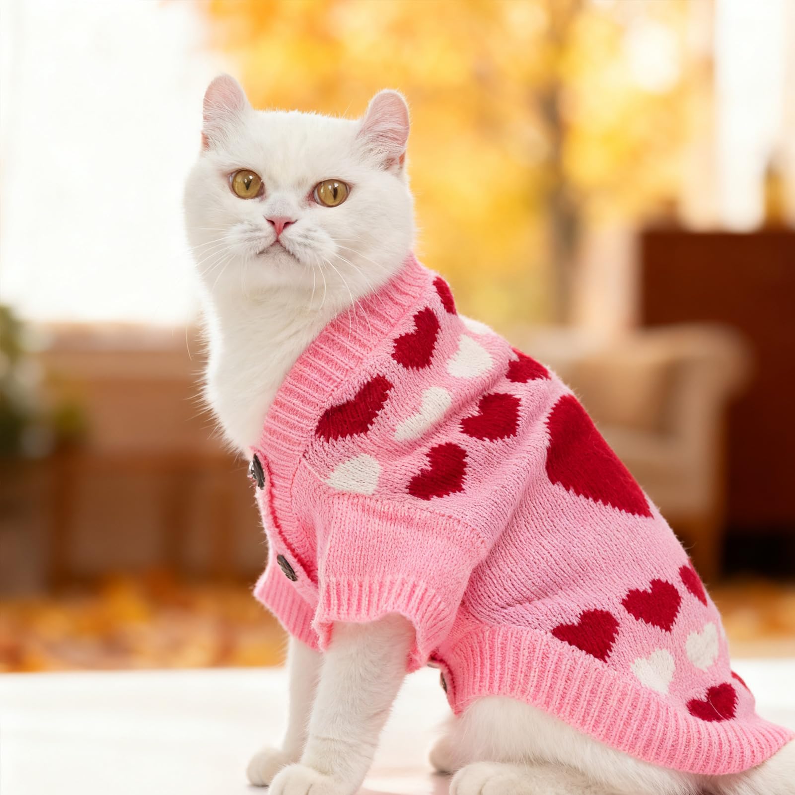 EXPAWLORER mantiene cálido al felino durante el invierno.