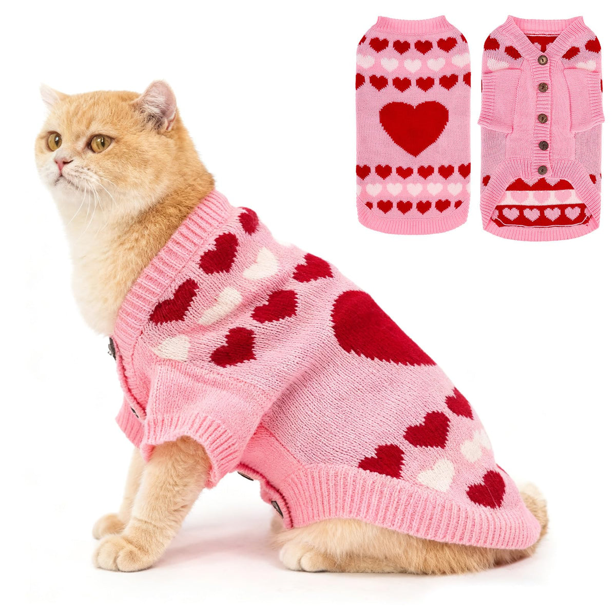 EXPAWLORER suéter gato frente destaca diseño clásico y calidez diaria