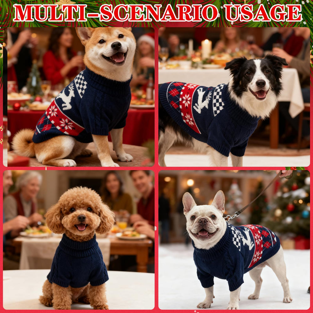 EXPAWLORER suéter para fiestas y fotos, versión azul