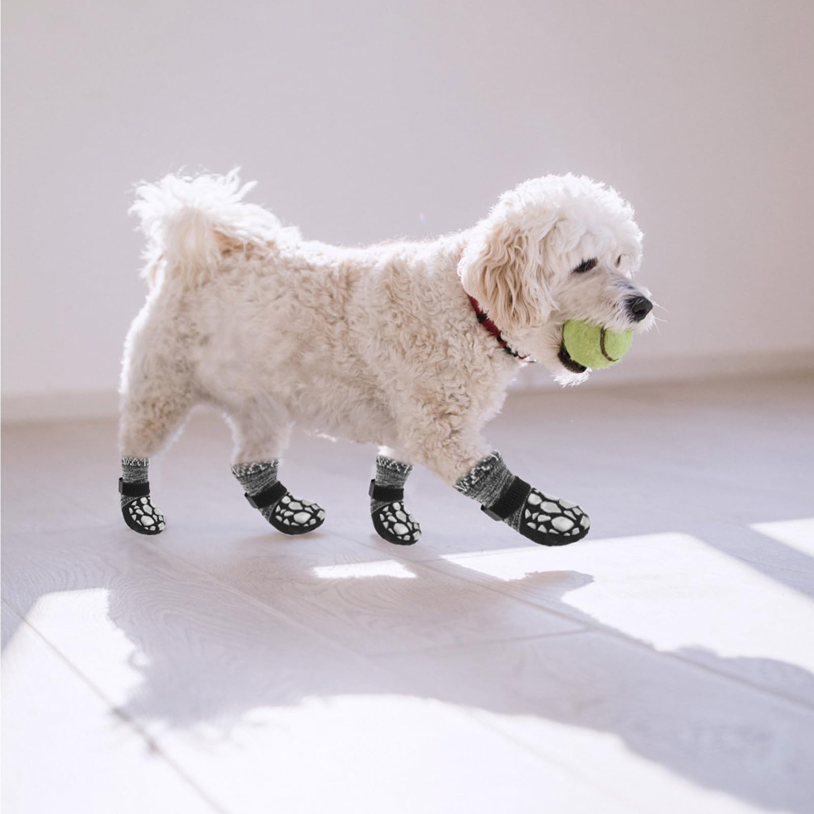 EXPAWLORER talla correcta facilita ajuste para perros pequeños, medianos y grandes.