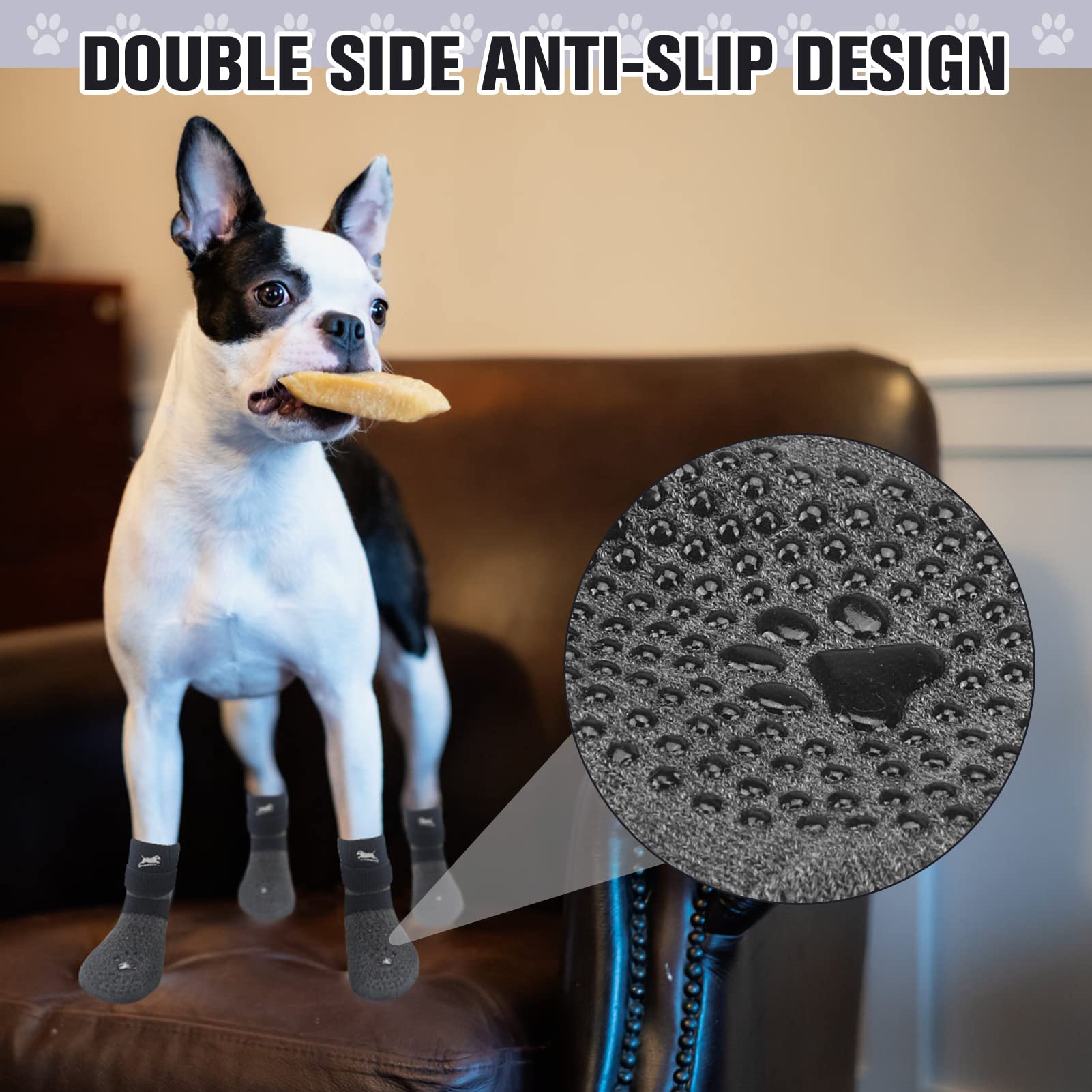EXPAWLORER tallas múltiples para perros, desde pequeño hasta senior.