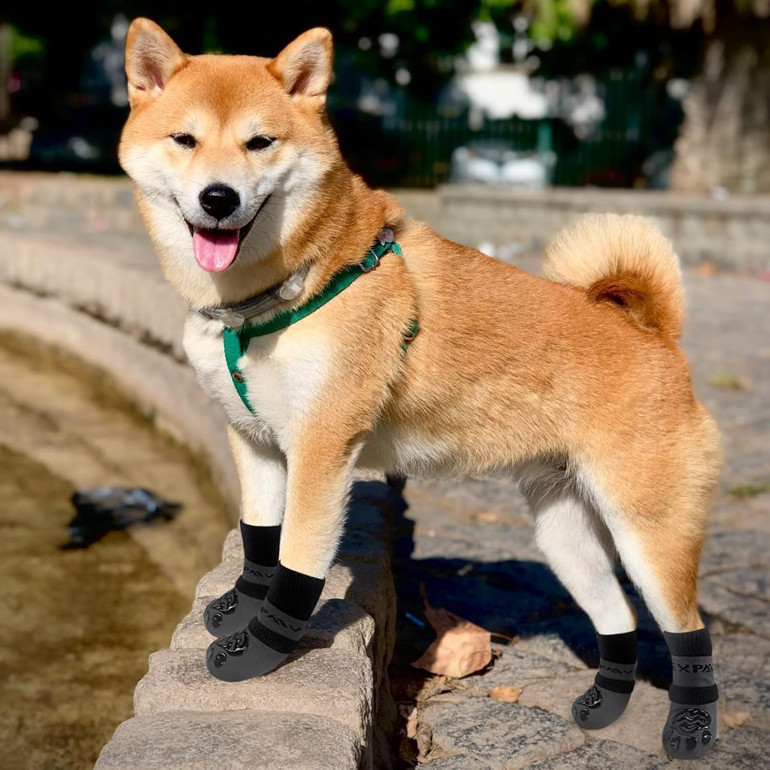 EXPAWLORER tejido transpirable protege las patas durante paseos activos.