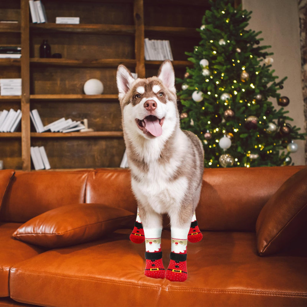EXPAWLORER uso-facil-perro-zapatillas coloca y quita fácilmente.