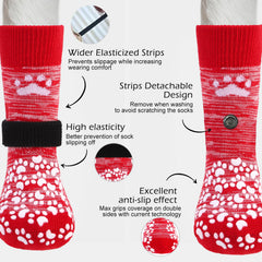 EXPAWLORER zapatillas para perro protegen patas frente pavimento caliente.
