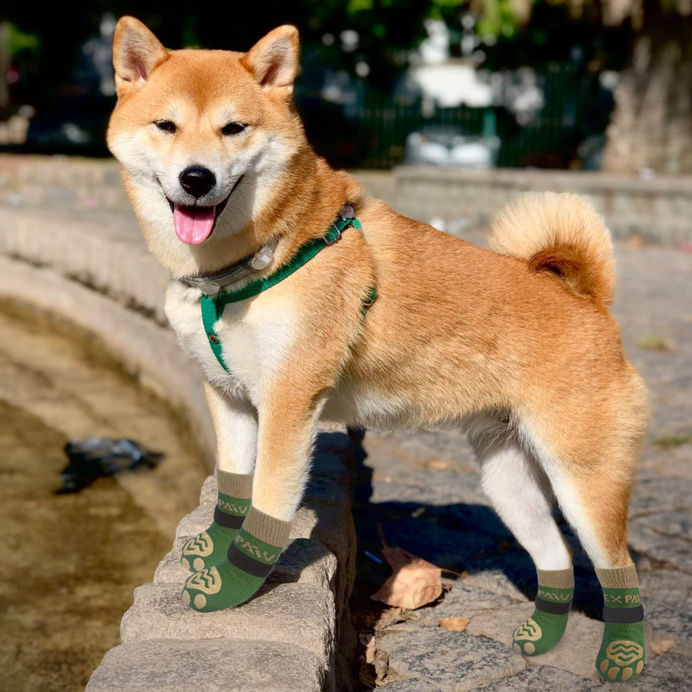 EXPAWLORER Zapatillas para perros para uso interior y protección de pisos.