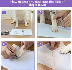 EXPAWLORER calcetines protección zarpas, comodidad para paseos seguros.
