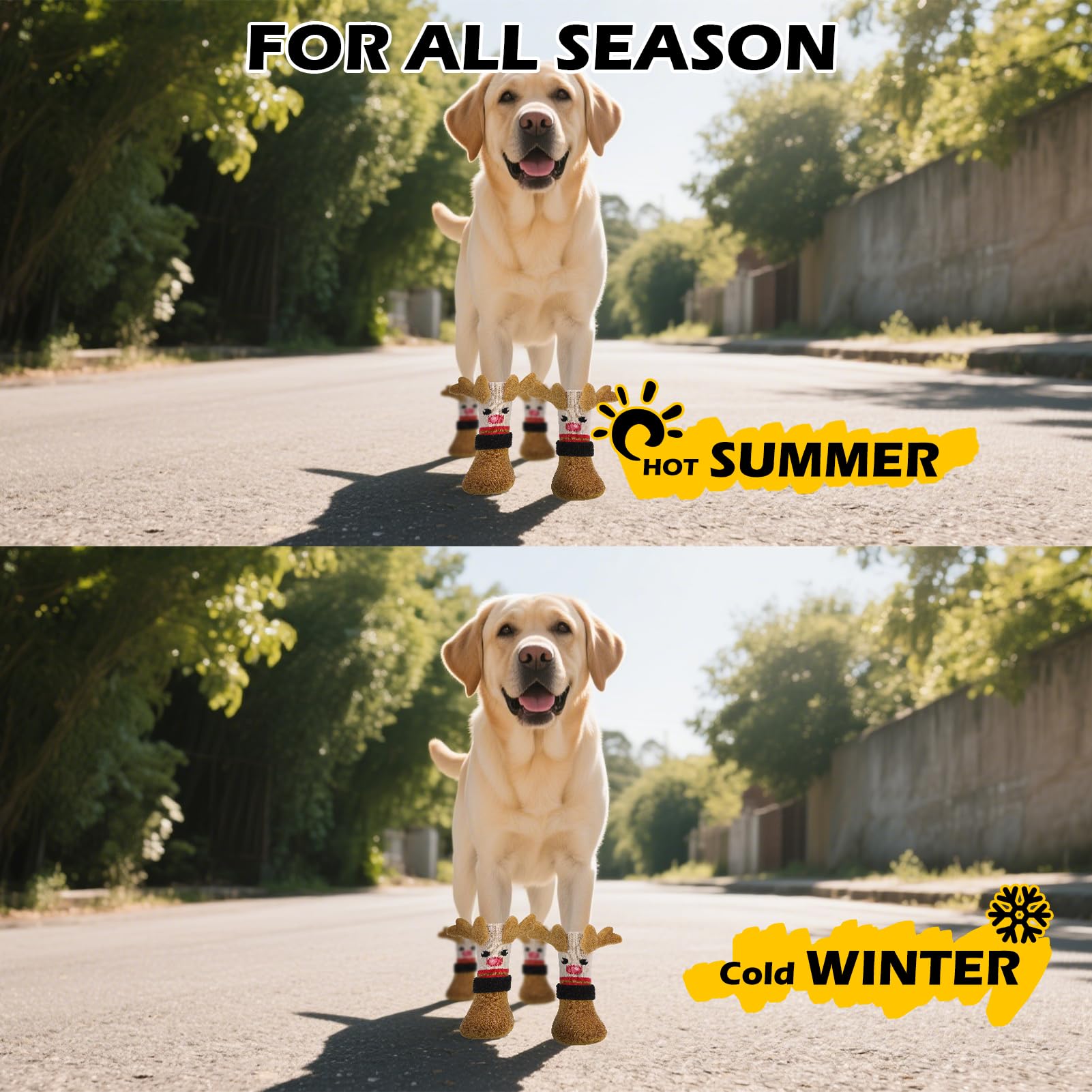 Regalo navideño EXPAWLORER perfecto para perros y dueños