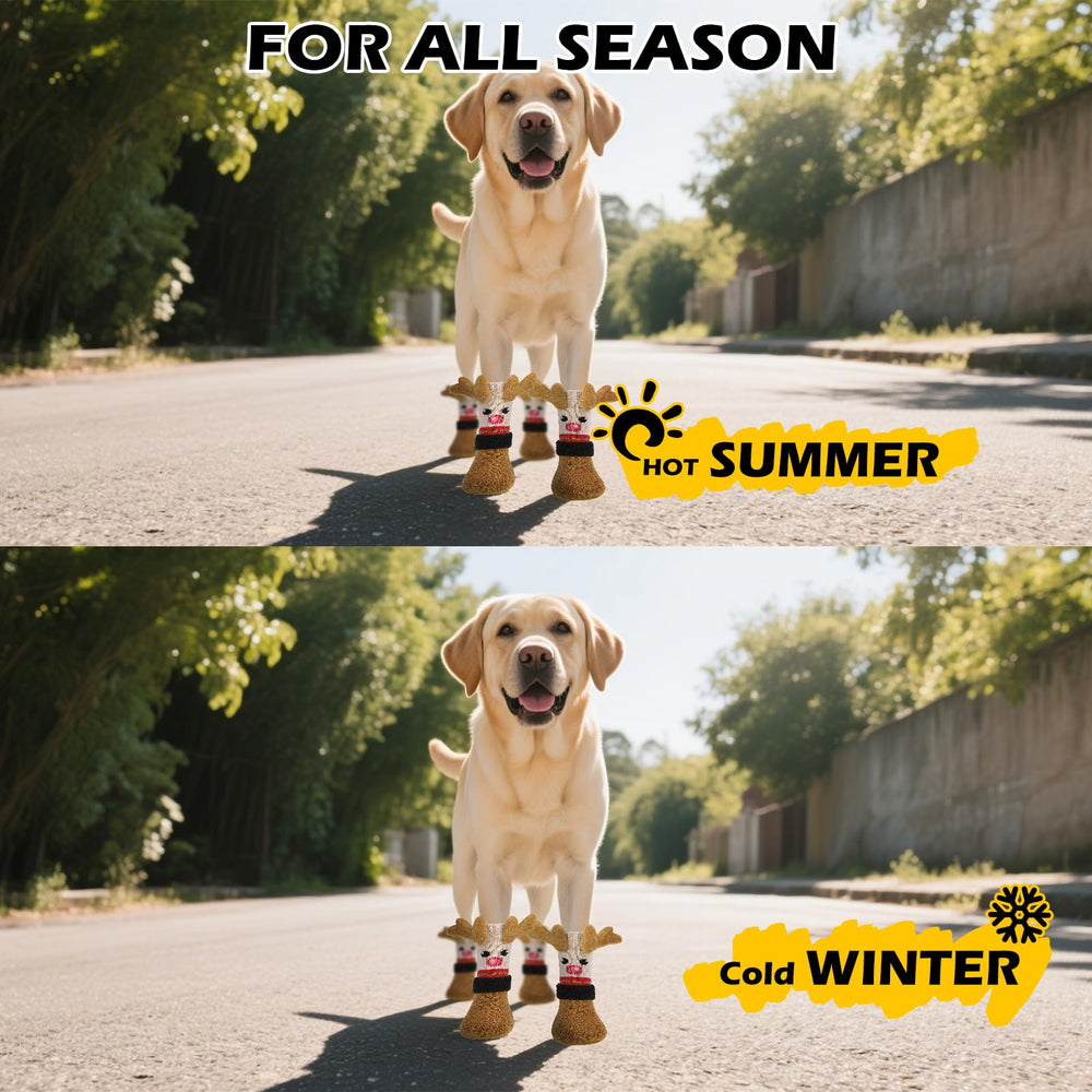 Regalo navideño EXPAWLORER perfecto para perros y dueños