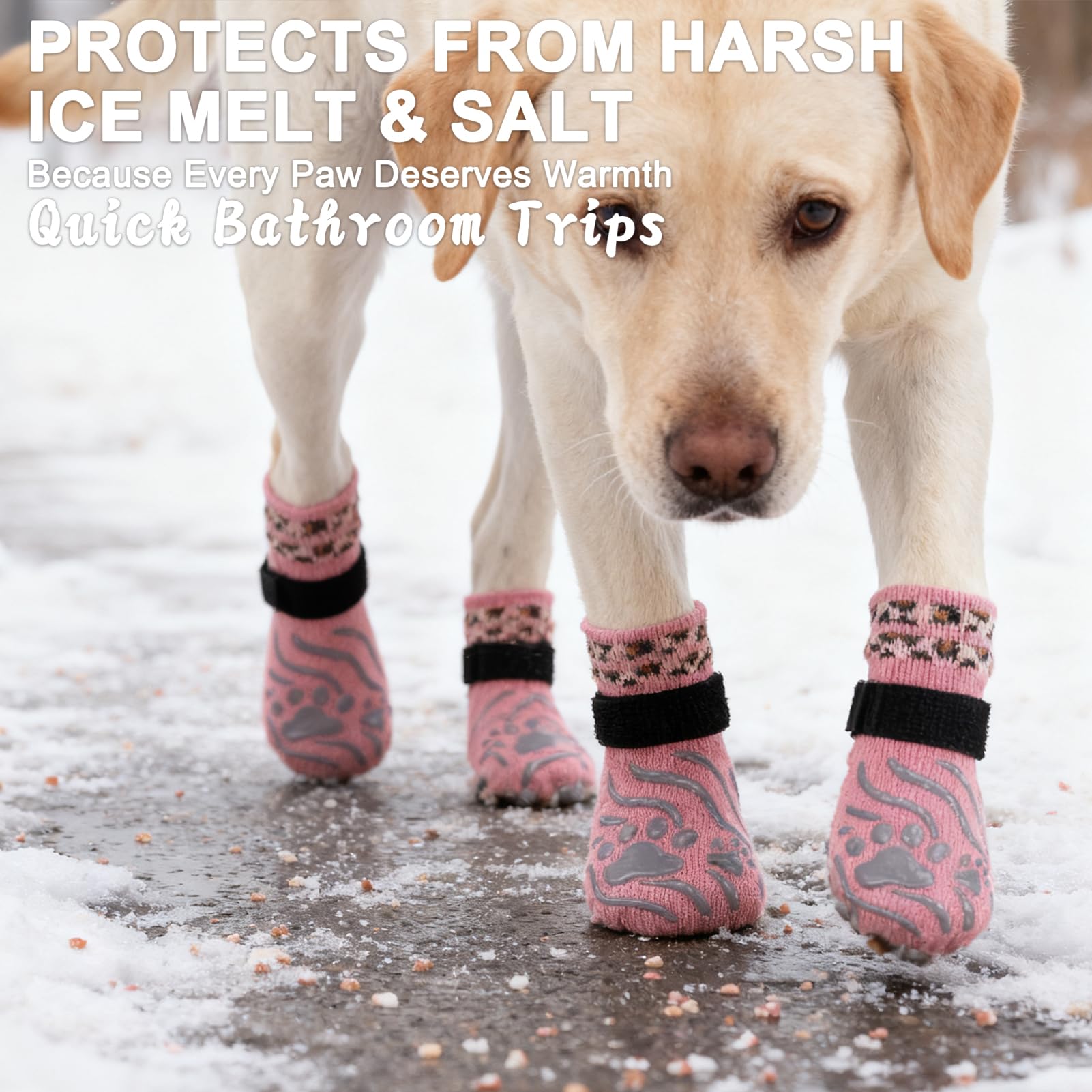 EXPAWLORER calcetines para perros, ajuste elástico seguro para comodidad.