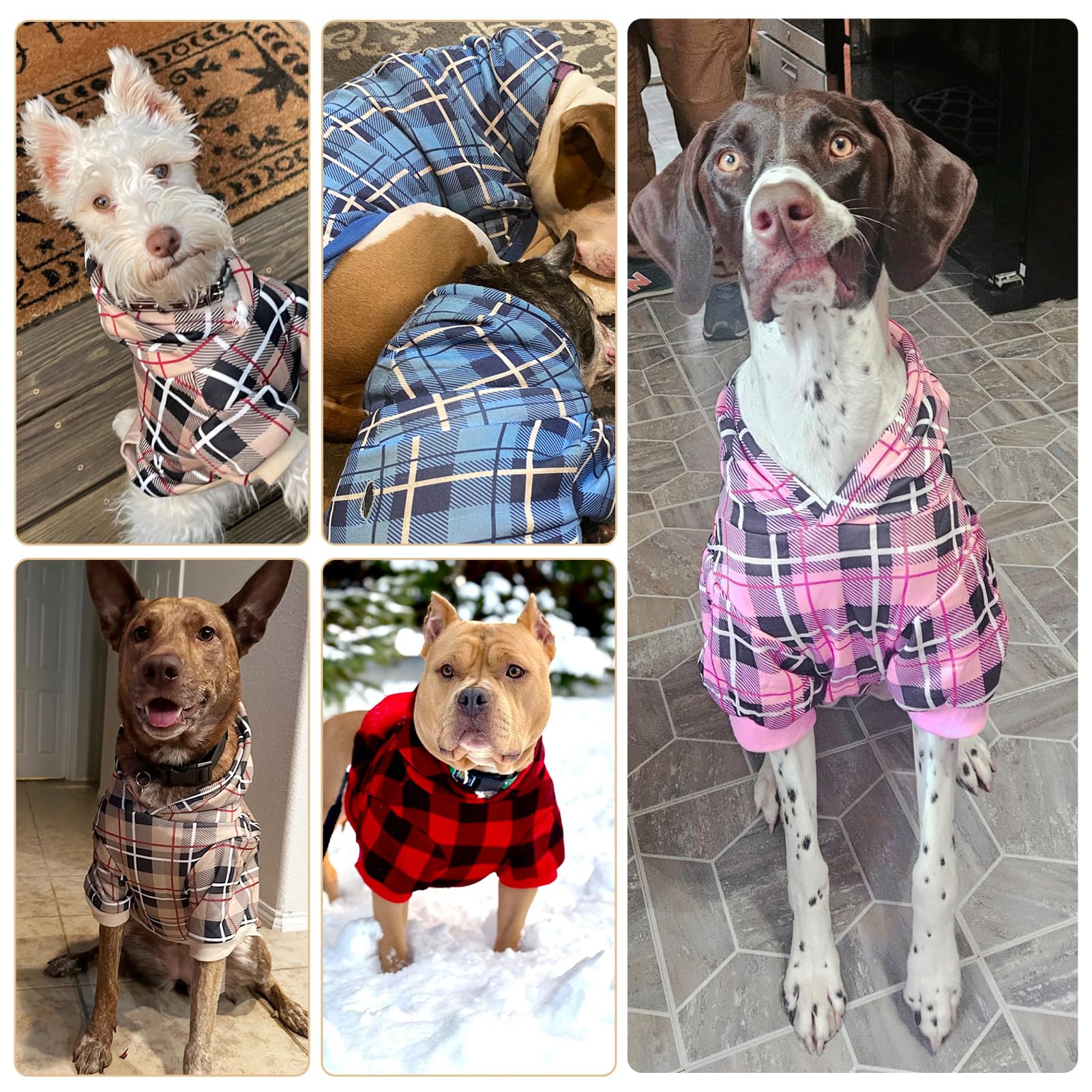 EXPAWLORER sudadera a cuadros, apta para ocasiones formales o casuales