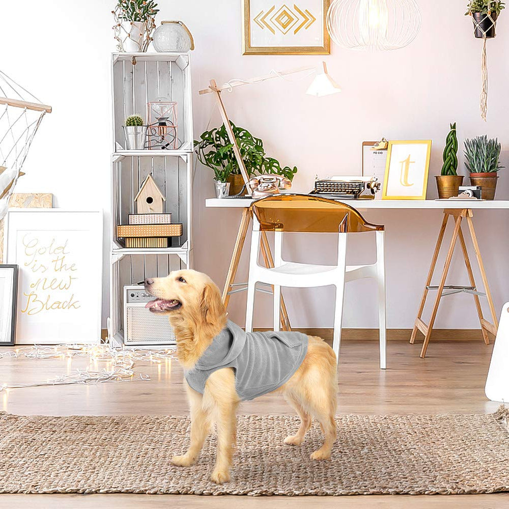 EXPAWLORER versátil para perros y gatos pequeños a medianos.