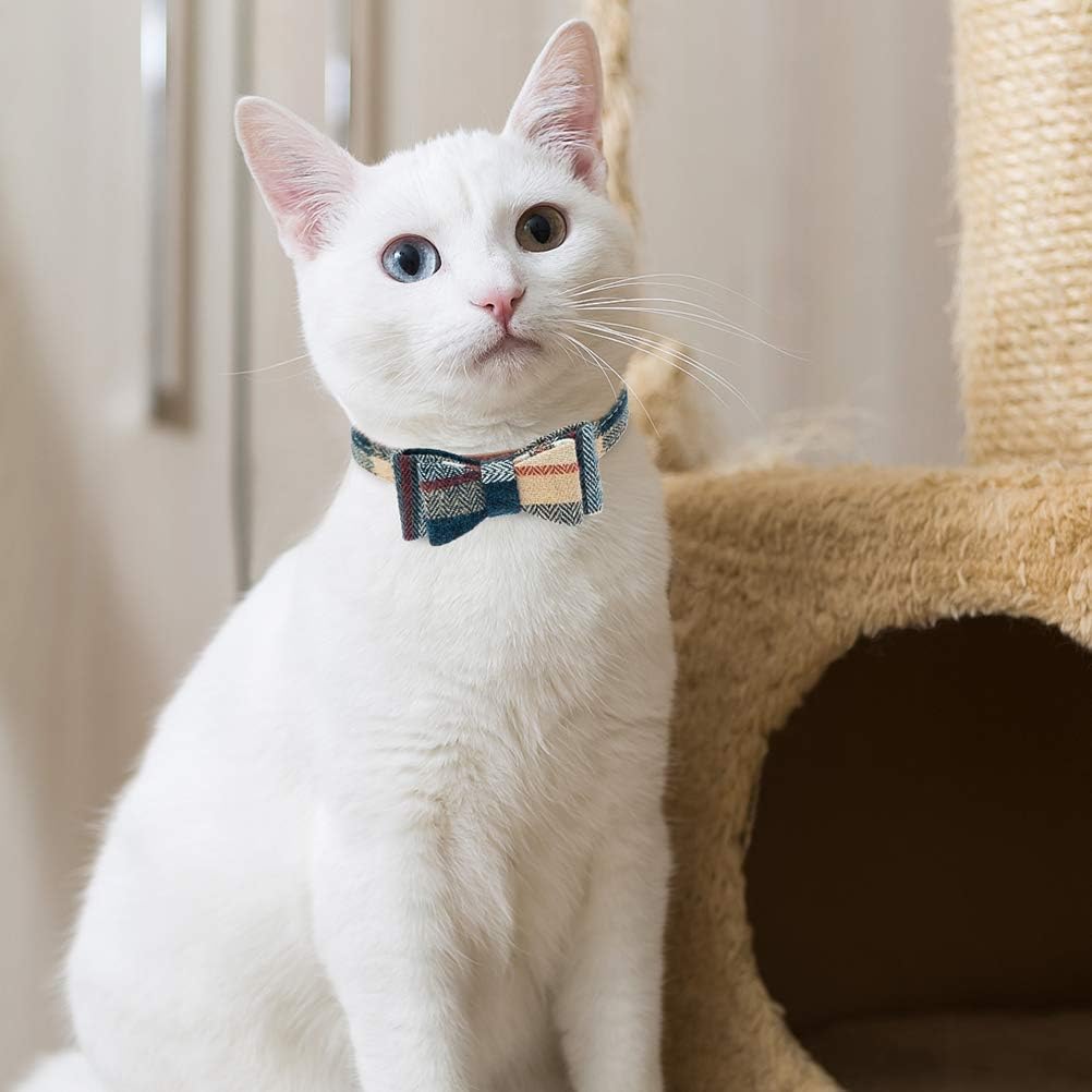EXPAWLORER collar con campana removible, añade diversión y localización durante paseo.