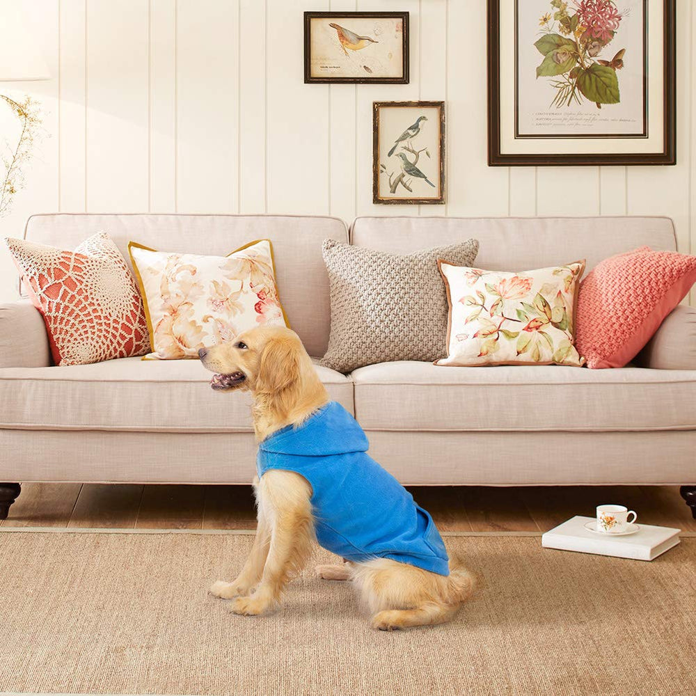 EXPAWLORER diseño con capucha, abrigo cómodo para días fríos