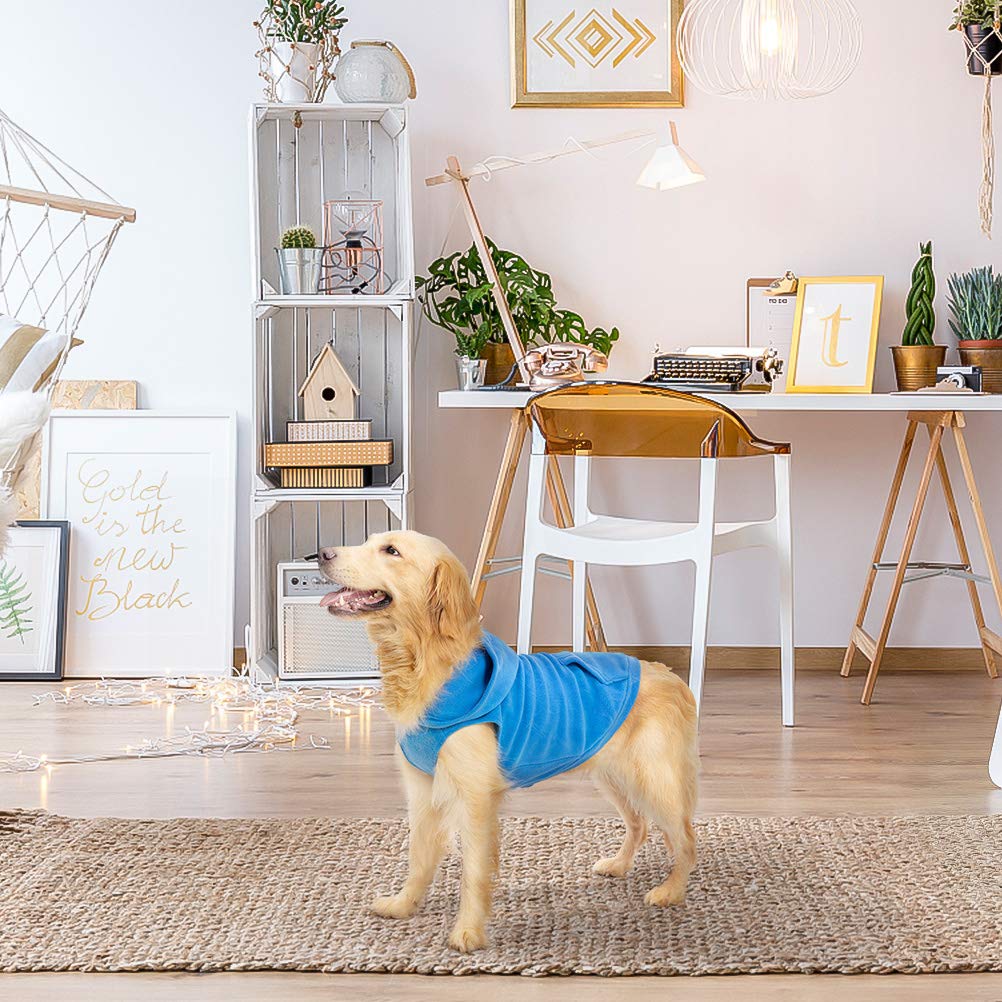 EXPAWLORER ropa de exterior para paseos invernales con perro