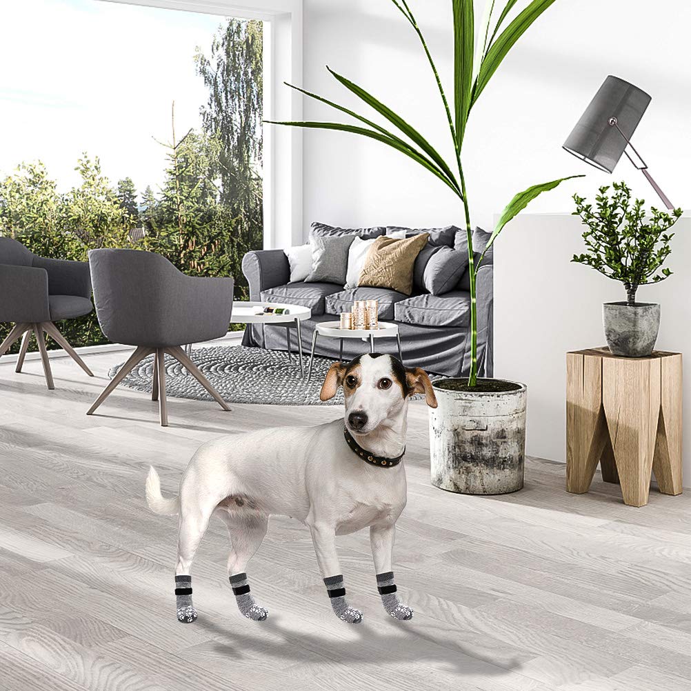 EXPAWLORER perro al aire libre con calzado protector para pavimentos
