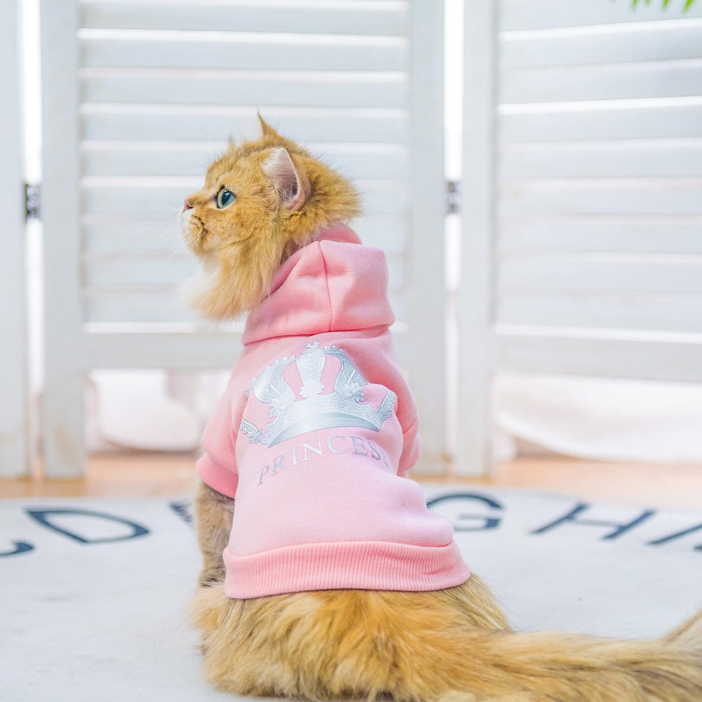 EXPAWLORER Princesa: uso en exterior en días fríos, manteniendo el calor del perro.