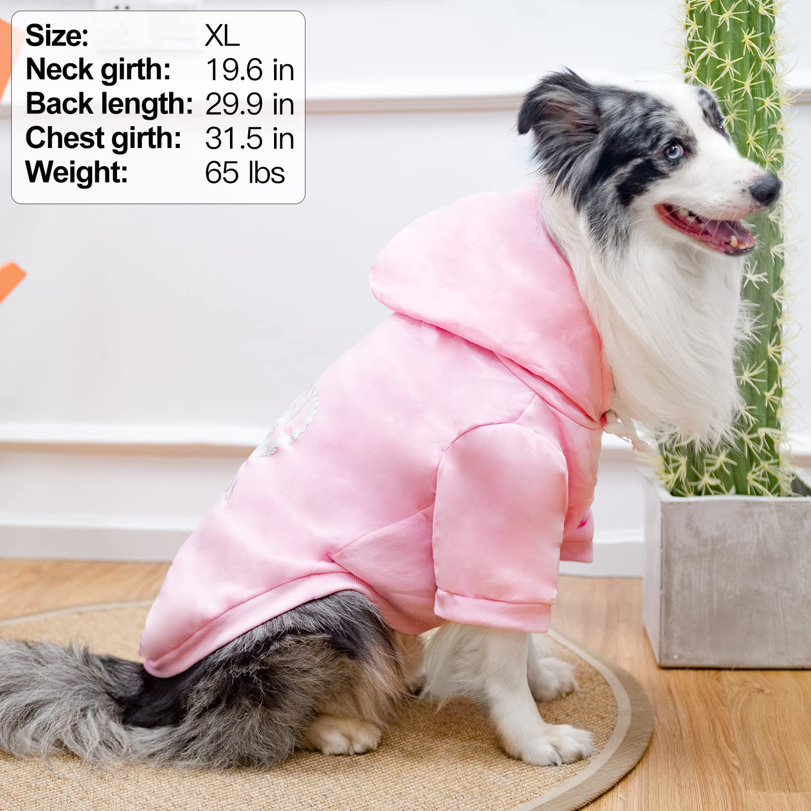 EXPAWLORER Princess Dog Hoodie, interior suave para comodidad diaria.