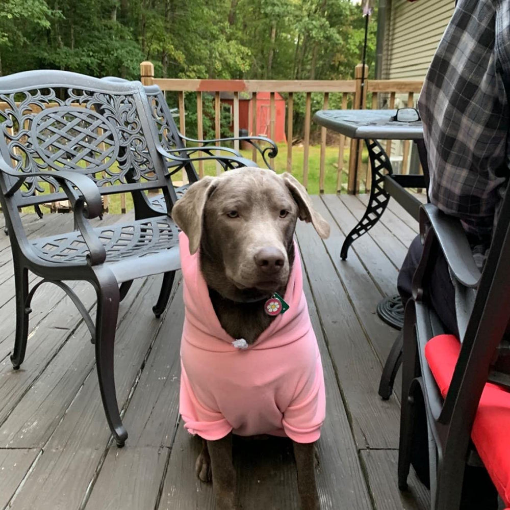 EXPAWLORER Princess Dog Hoodie, talla adaptable para perros de distintos tamaños.