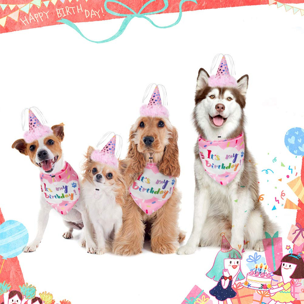 EXPAWLORER presentación de regalo para cumpleaños de perro.