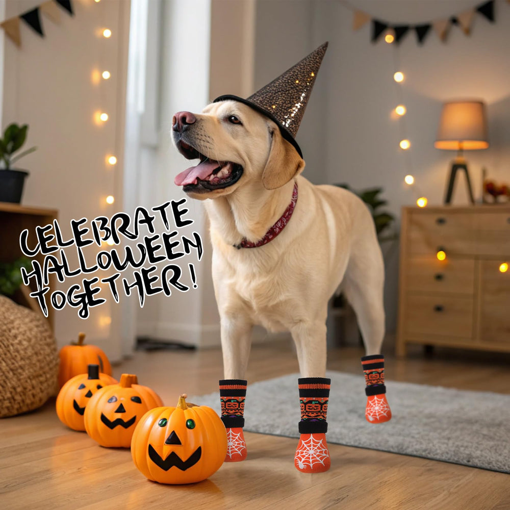 EXPAWLORER regalo perfecto para Halloween con fantasmas y calabazas