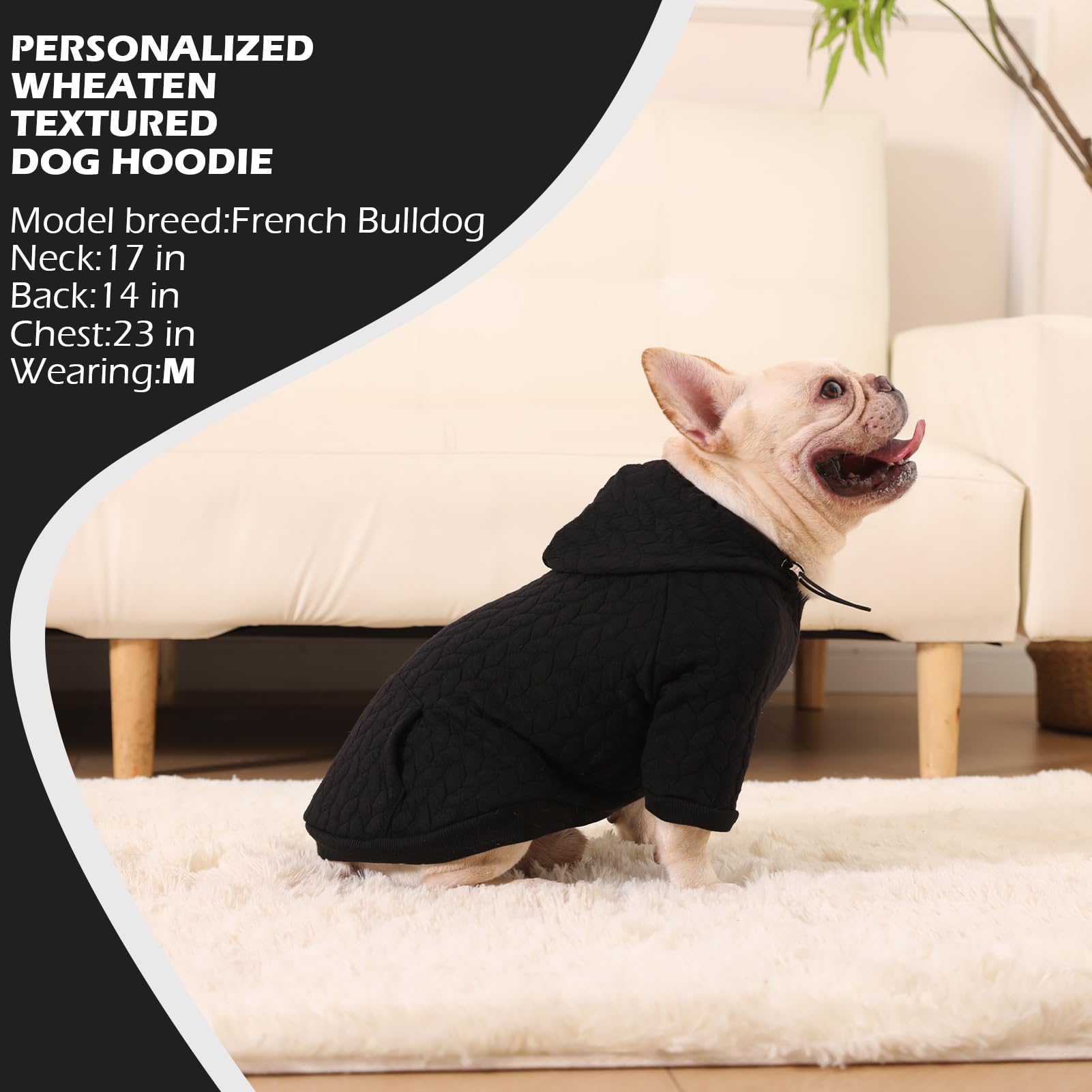 EXPAWLORER ideal para exterior, caminatas y fotos en días fríos