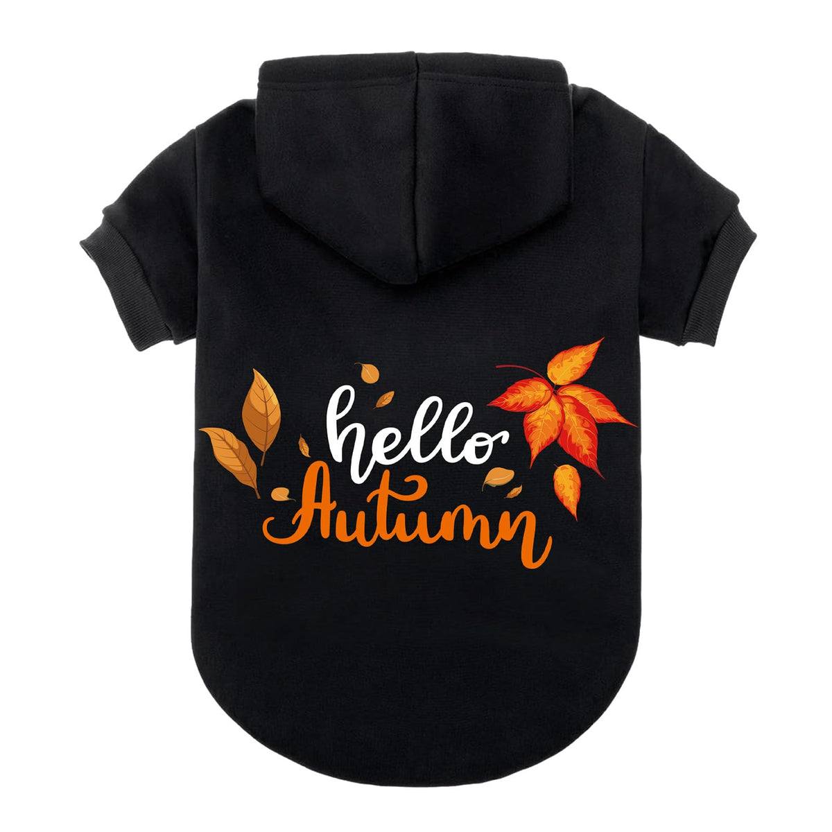 EXPAWLORER sudadera para perro otoñal con hoja de arce, estilo único y cálido.