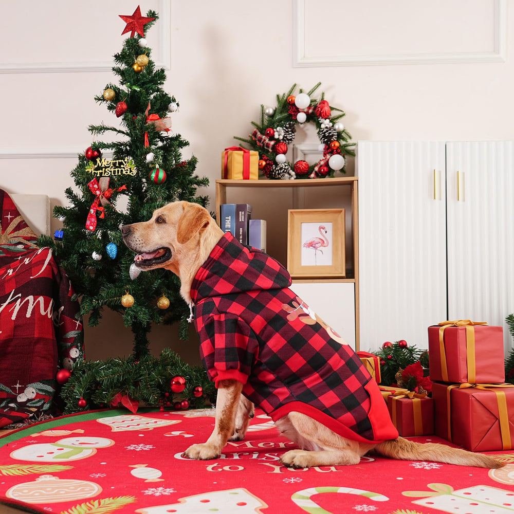 EXPAWLORER prenda de uso diario para perro, versátil y casual