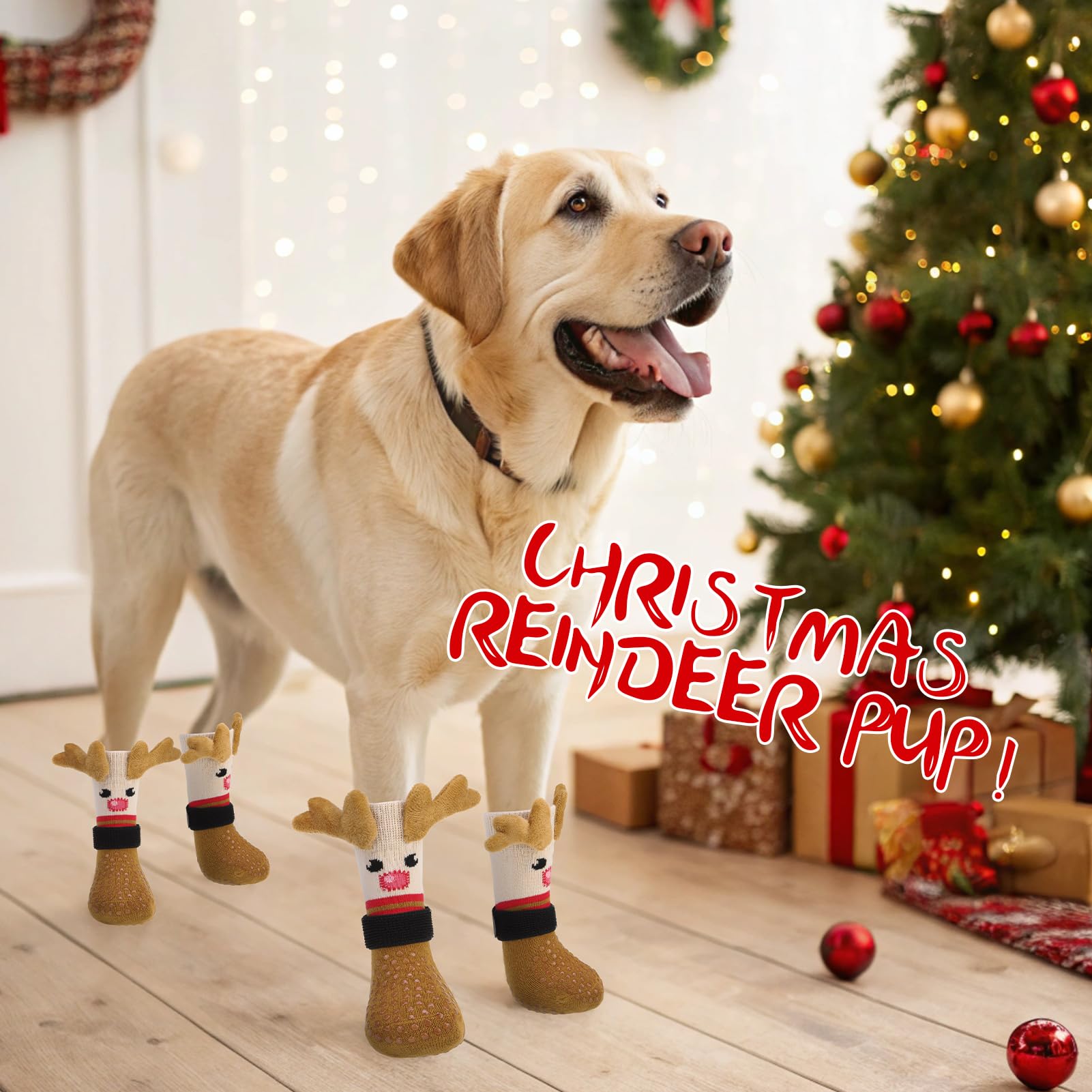 Zapatillas EXPAWLORER para perro uso interior y exterior con agarre mejorado