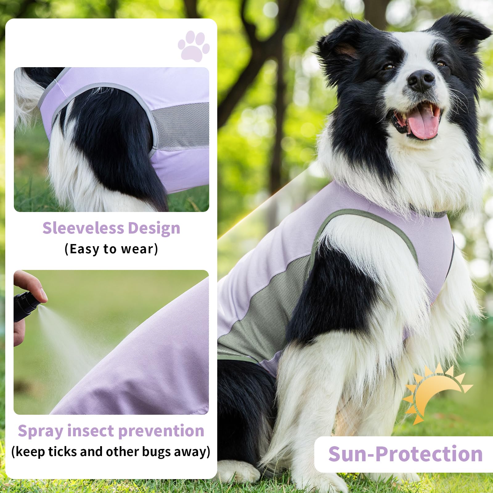 Camiseta ExploreU para perro en tallas S a XL para diferentes razas.
