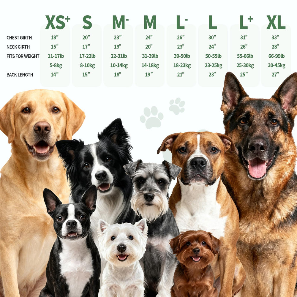 ExploreU impermeable para perros con guía de tallas para elegir correctamente.