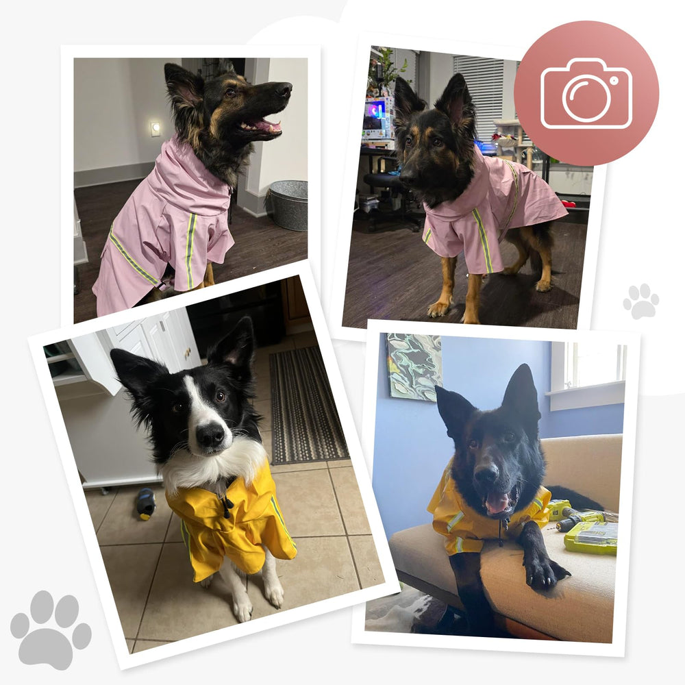 ExploreU diseño duradero para aventuras al aire libre con tu perro