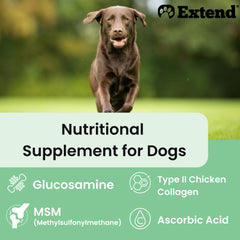 Extend Cuidado de Articulaciones para Perros: mezcla sobre comida para mayor aceptación.
