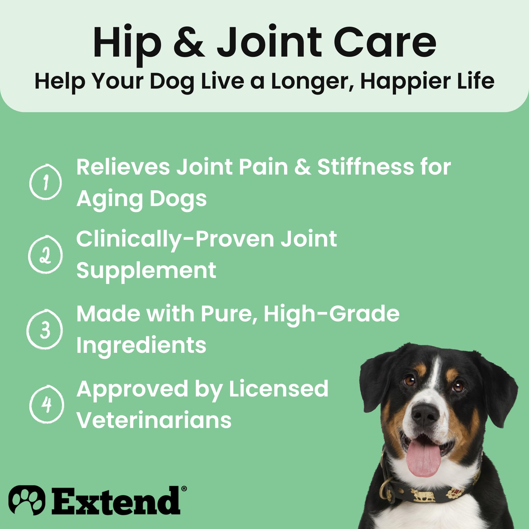 Extend Cuidado de Articulaciones para Perros: perro en acción gracias al soporte articular.