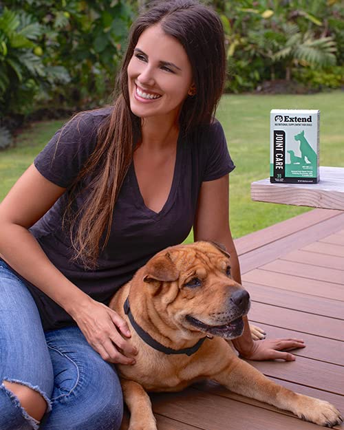 Extend Cuidado de Articulaciones para Perros: perro comiendo con sabor a ternera.