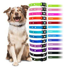 Extreme Dog Fence: compatibilidad con modelos múltiples para reemplazo seguro.