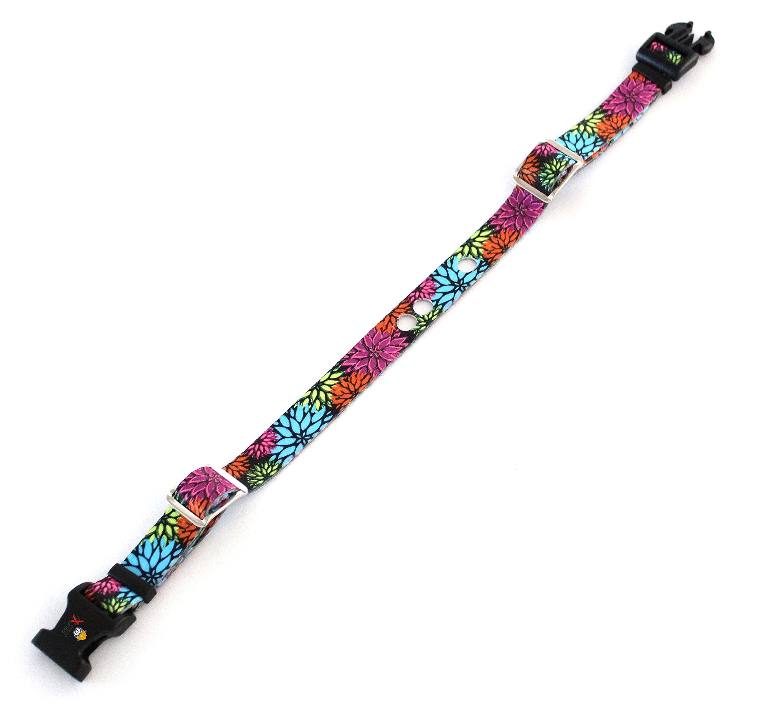 Correa Extreme Dog Fence, talla pequeña, apta para perros pequeños