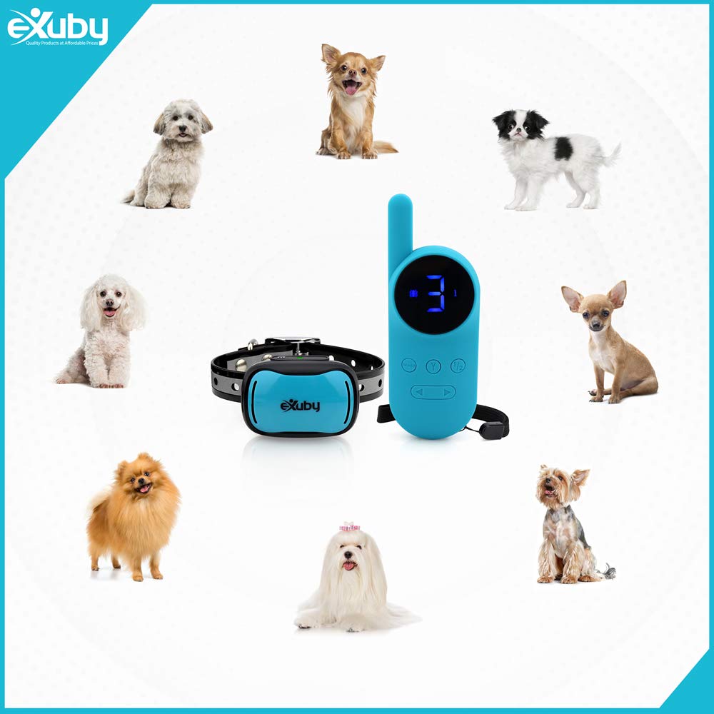 eXuby modos sonido y vibración, opción suave para perros sensibles.