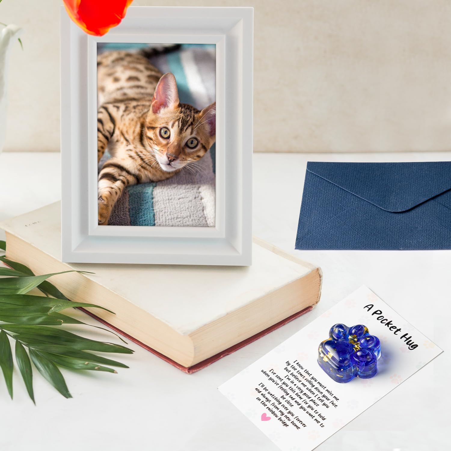 EYxsaxenk regalo de simpatía para perros y gatos, apoyo emocional.