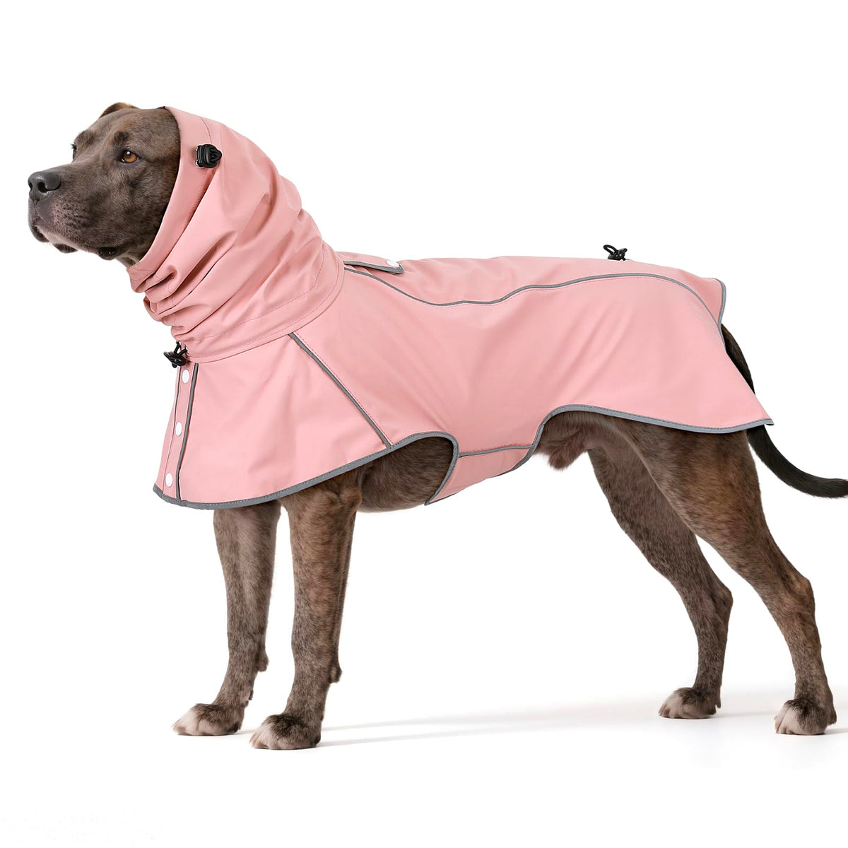 Capa reflectante Ezierfy para perros para mayor visibilidad nocturna